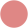 Dawn Rose 
