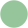 Fern 